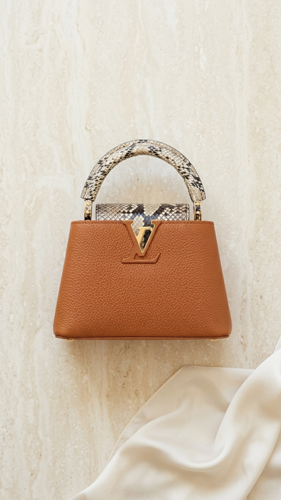 Capucines Bag | شنطة كابوسينس