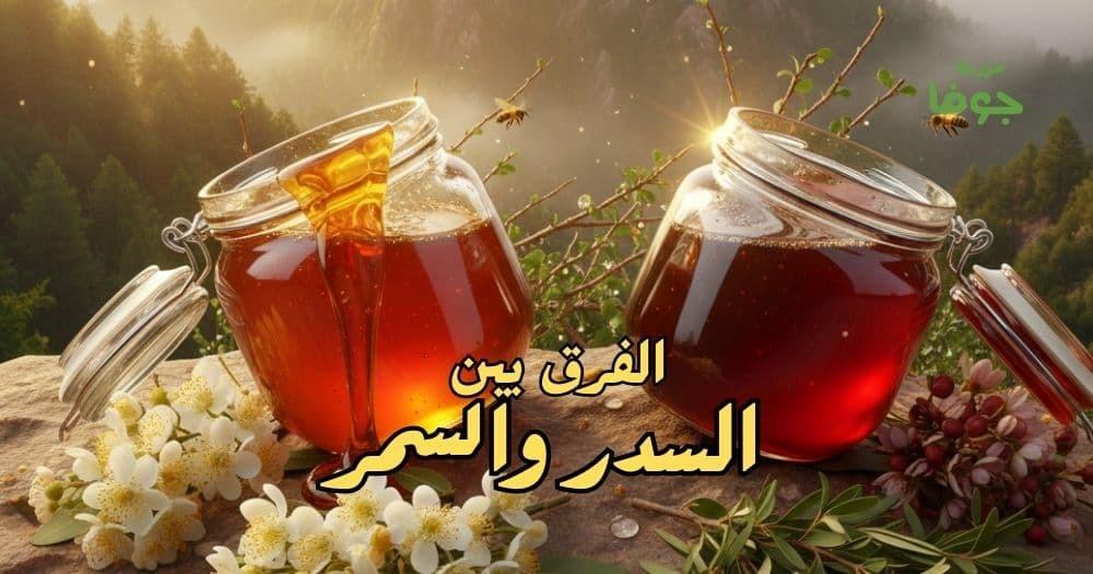 الفرق بين السدر والسمر وفوائد كل نوع