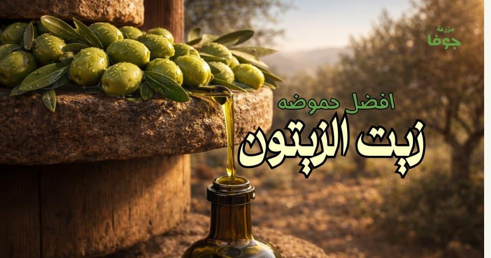 افضل حموضه زيت الزيتون وكيف تختار الزيت الاصلي