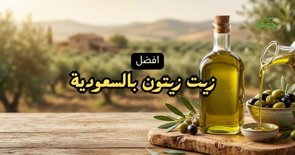 افضل زيت زيتون بالسعودية