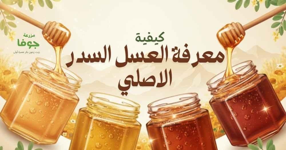 معرفة العسل السدر الاصلي