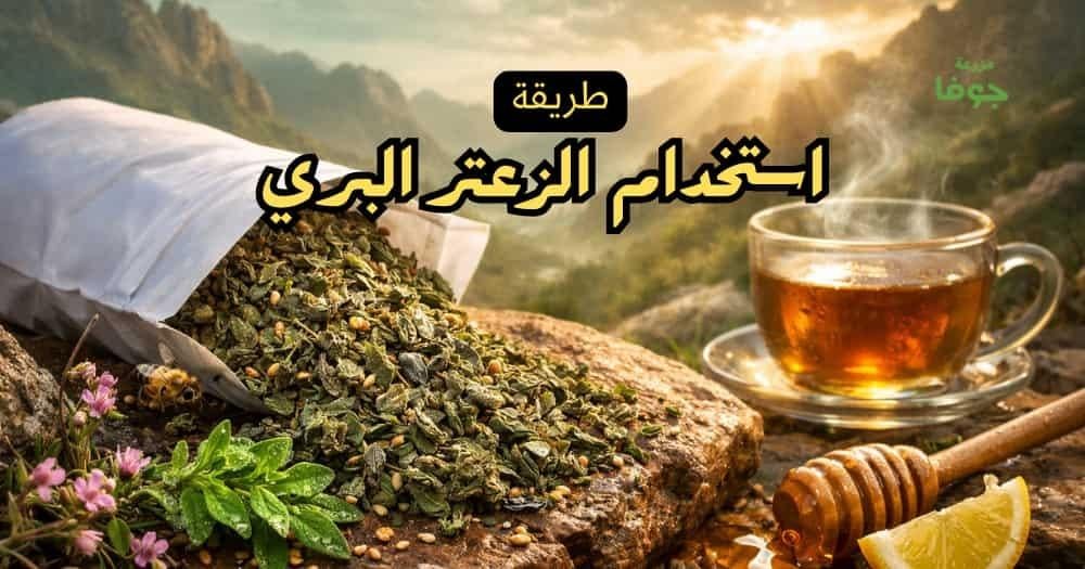 طريقة استخدام الزعتر البري