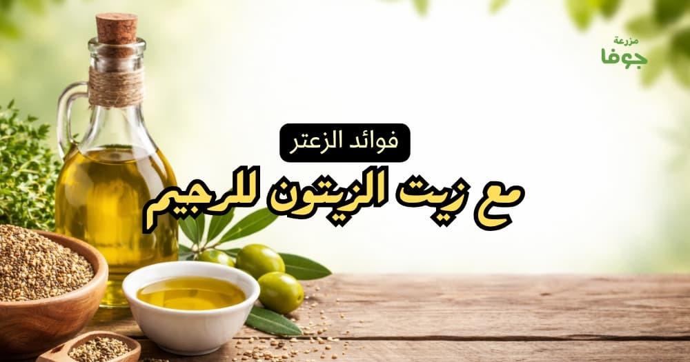 فوائد الزعتر مع زيت الزيتون للرجيم