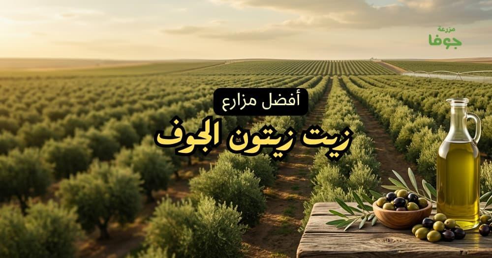 أفضل مزارع زيت زيتون الجوف