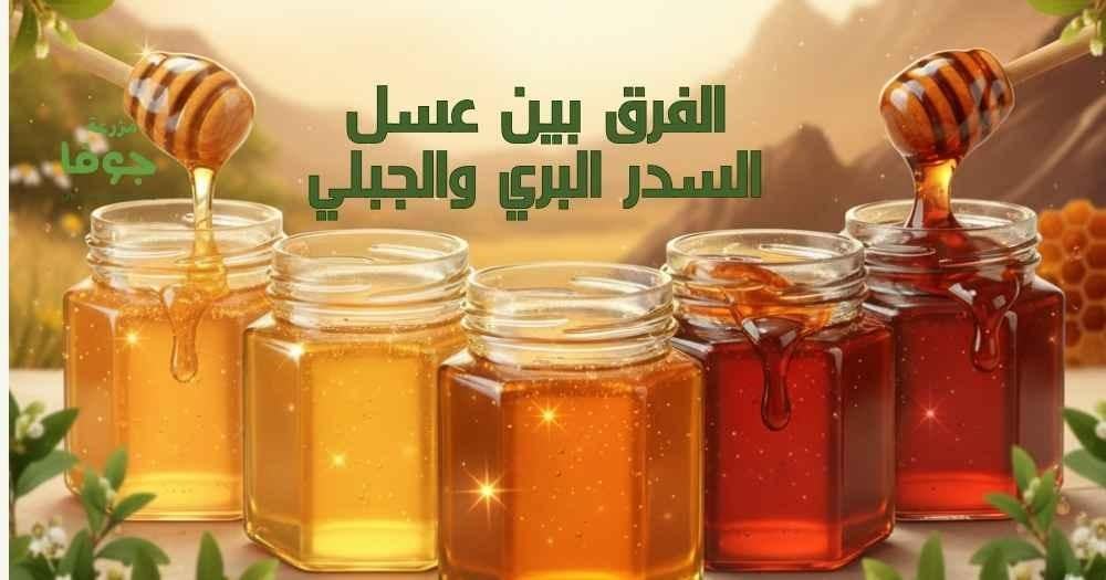 الفرق بين عسل السدر البري والجبلي