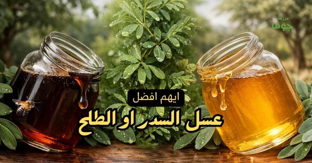 ايهم افضل عسل السدر او الطلح