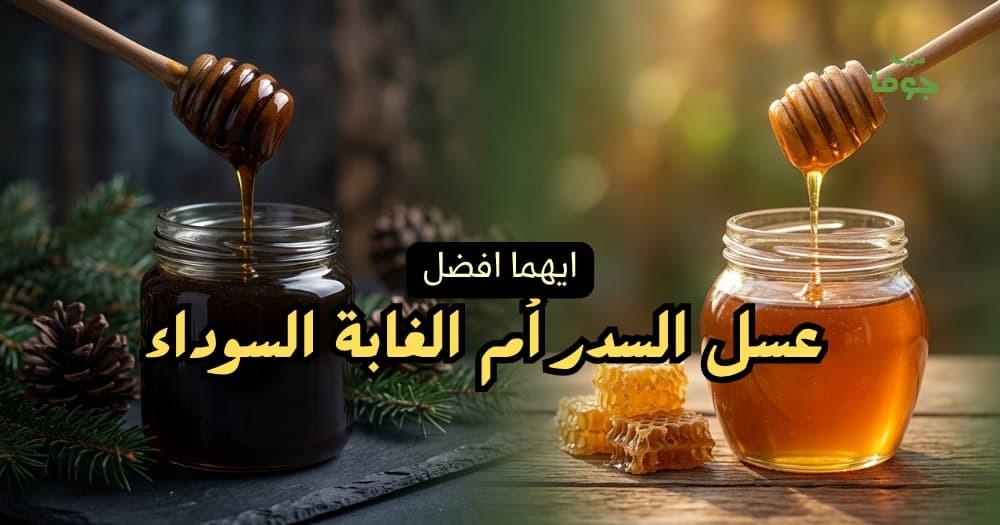ايهما افضل عسل السدر أم الغابة السوداء