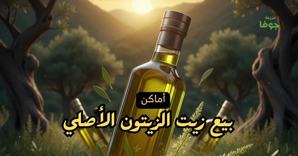 أفضل أماكن بيع زيت الزيتون الأصلي في السعودية