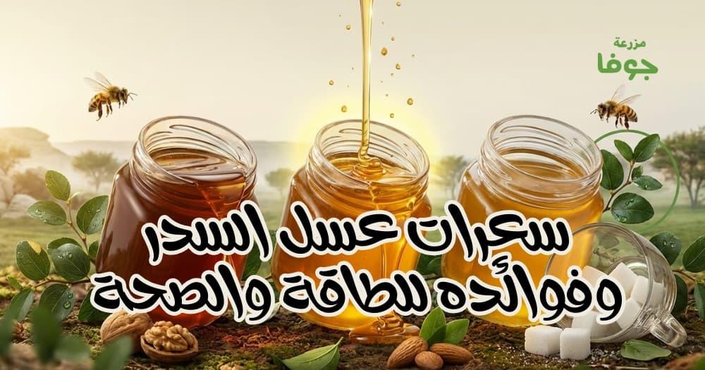 سعرات عسل السدر