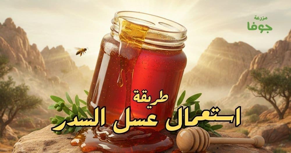 أفضل طريقة استعمال عسل السدر للاستفادة القصوى