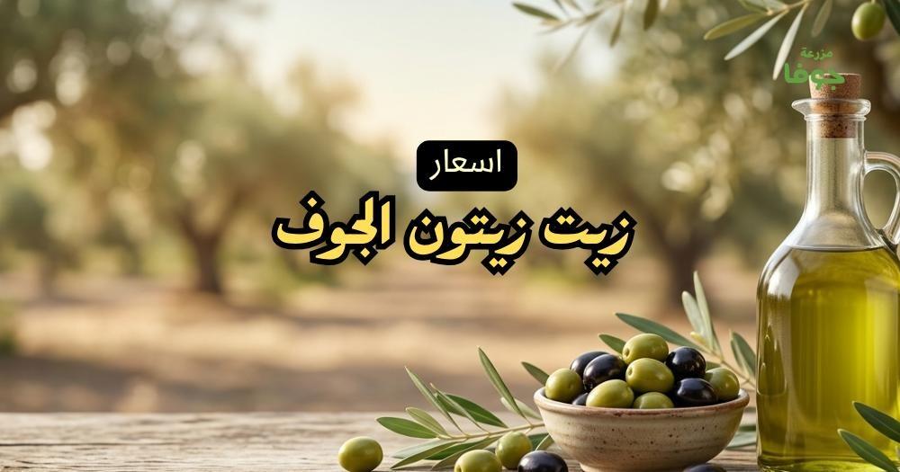 اسعار زيت زيتون الجوف