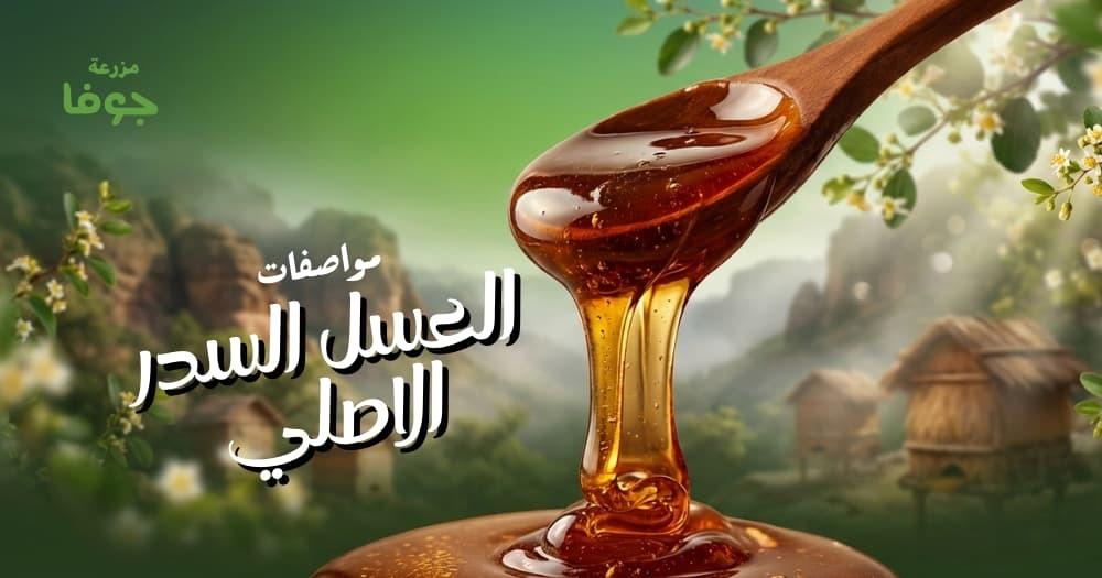 مواصفات العسل السدر الاصلي