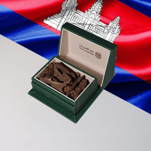 العود الكمبودي