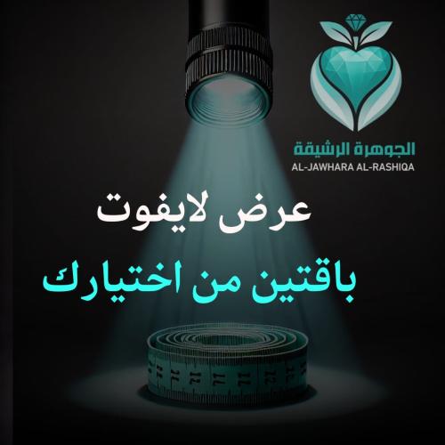 عرض الرشاقة السريعة