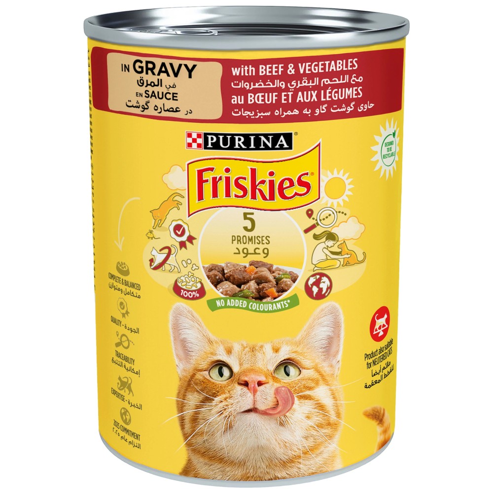 Friskies cat CIG Salmon Tuna Pate 400g Pets House