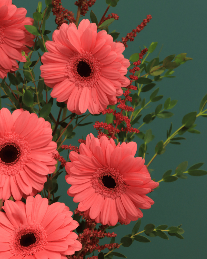 فازة روزي إليغانس – لمسة وردية من الأناقة