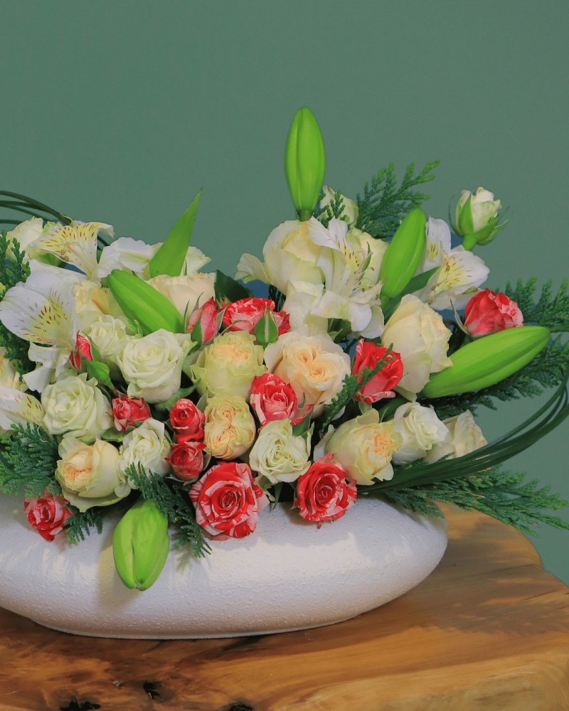 فازة عبير النقاء