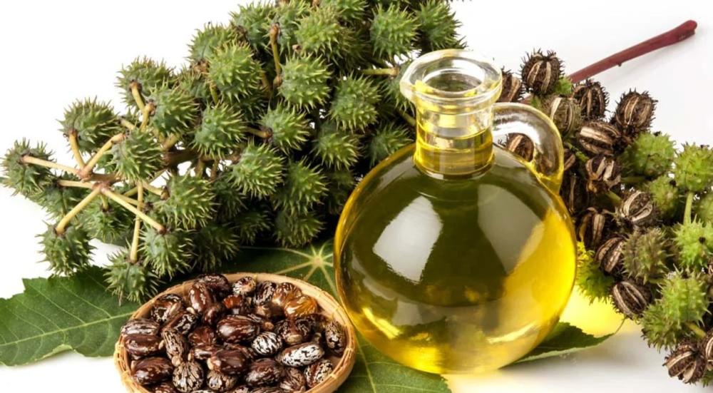 الزيت الافغاني الاصلي