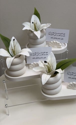 طقم _استقبال _مجموعة
