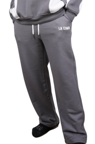 W24 Grey Pants