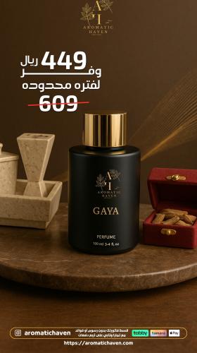 باقة هافين VIP