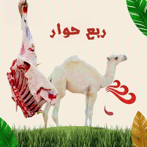 ربع حاشي حوار