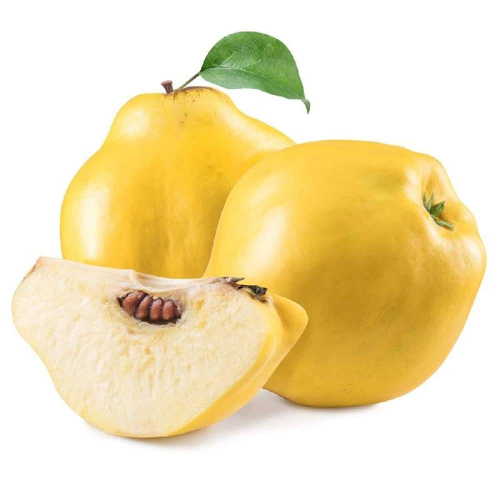 سفرجل