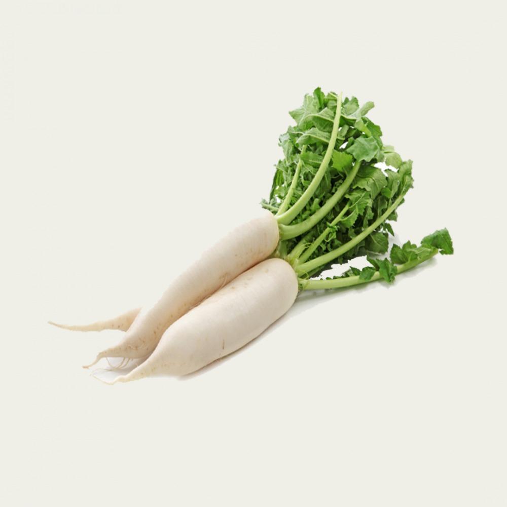 فجل أبيض حبه
