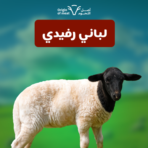 النعيمي الرفيدي - لباني