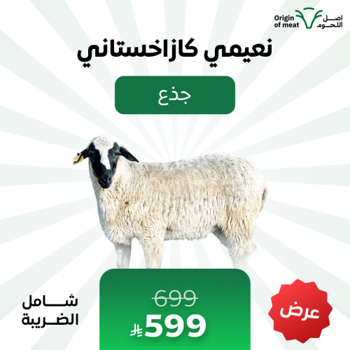 نعيمي كازاخستاني - جذع
