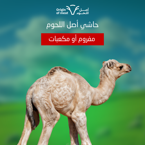حاشي أصل اللحوم