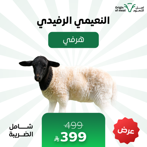 النعيمي الرفيدي - هرفي