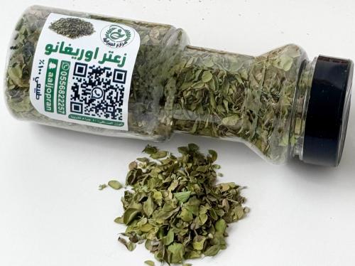 زعتر اوريغانو
