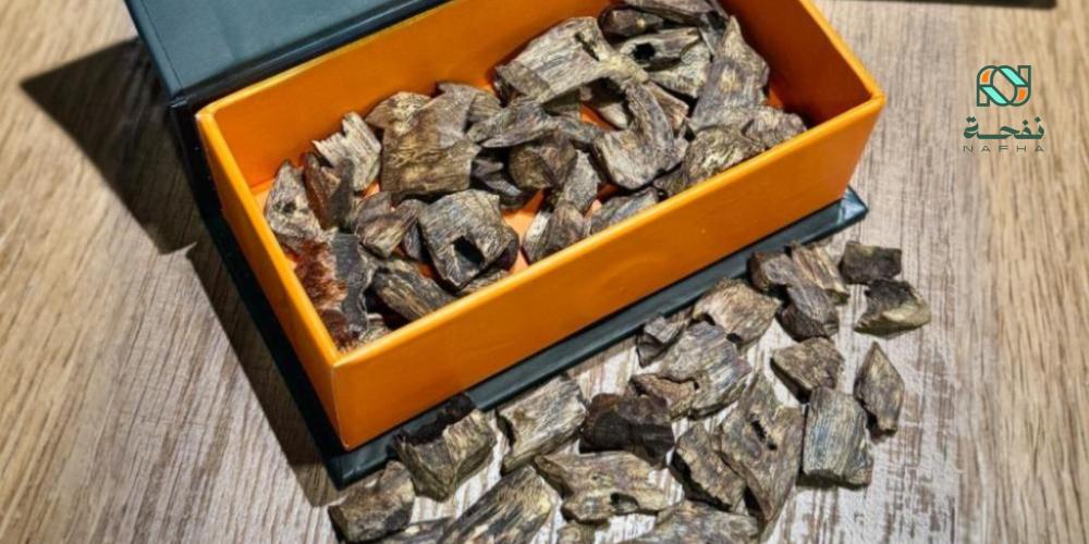 عود طبيعي أصلي