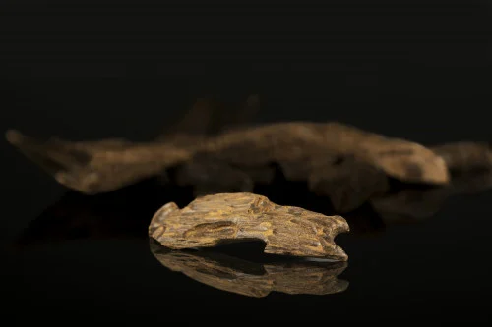 عود مناسبات فخمة