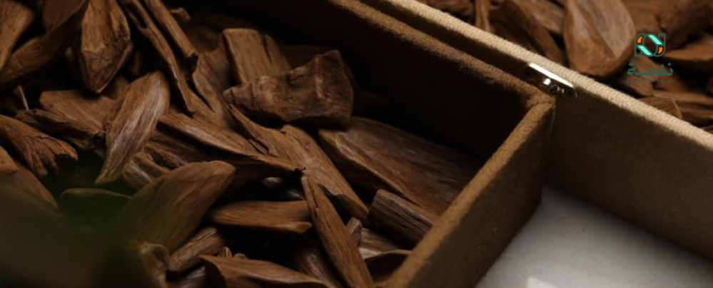 عود مروكي طبيعي