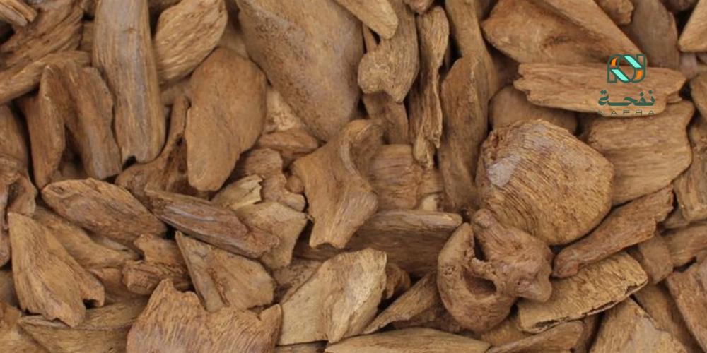 خشب العود المروكي