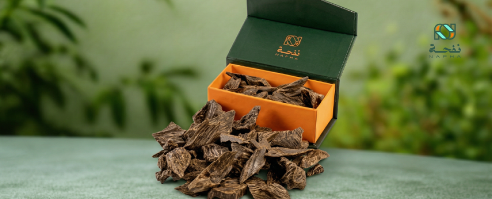 عود الجمعة كلمنتان