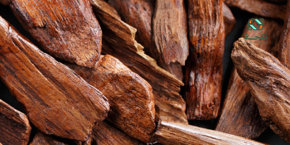 أفضل عود في السعودية