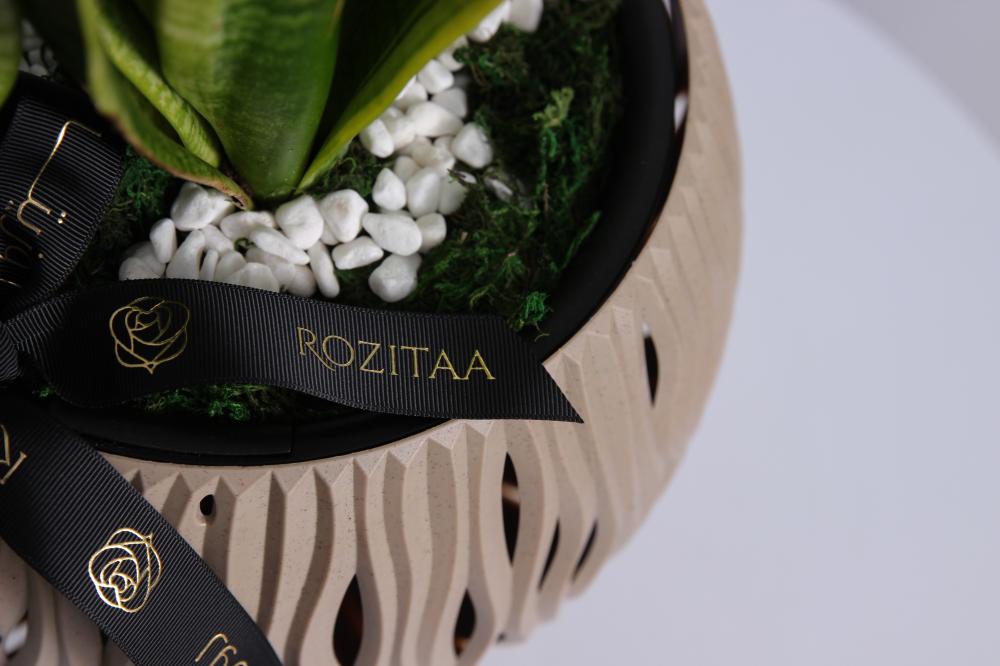 هدايا مناسبات