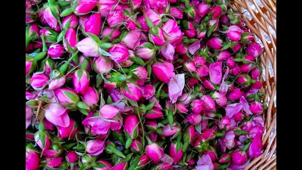 كيف احافظ على الورد الطبيعي