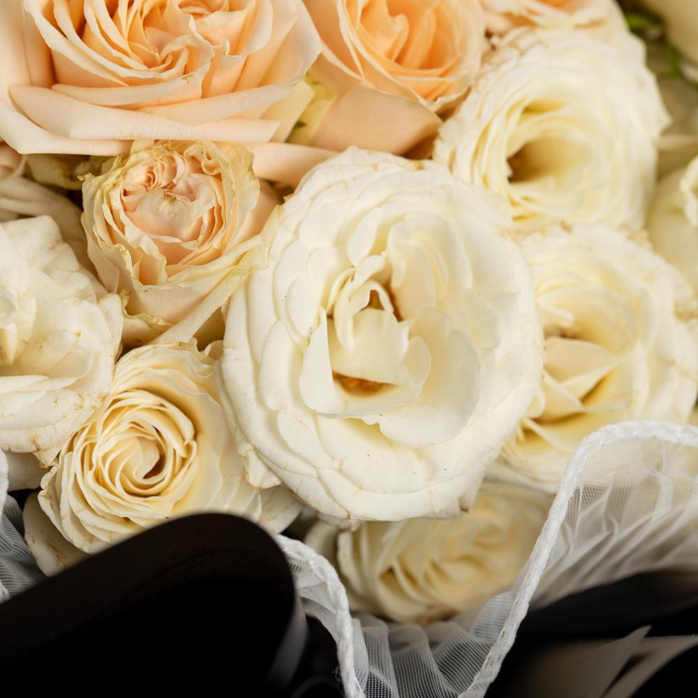 باقة وميض الغروب