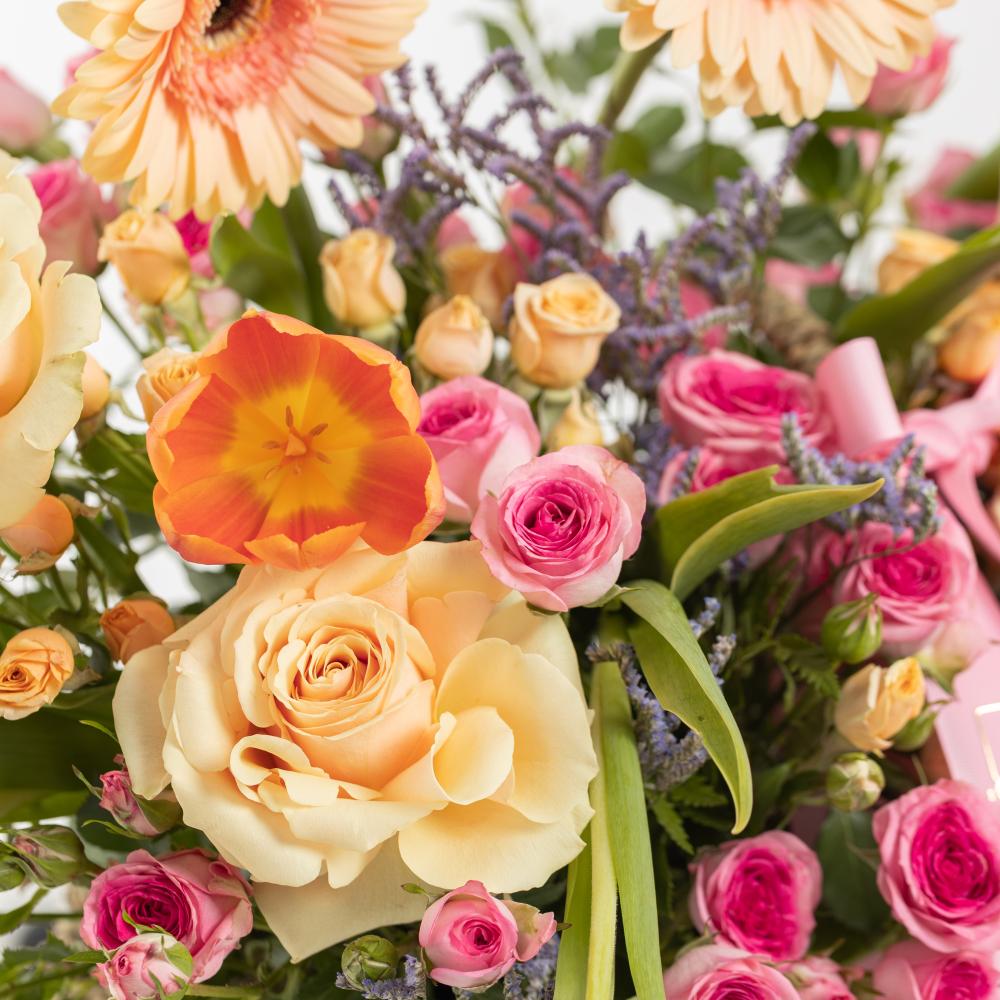 سلة التوليب الراقص