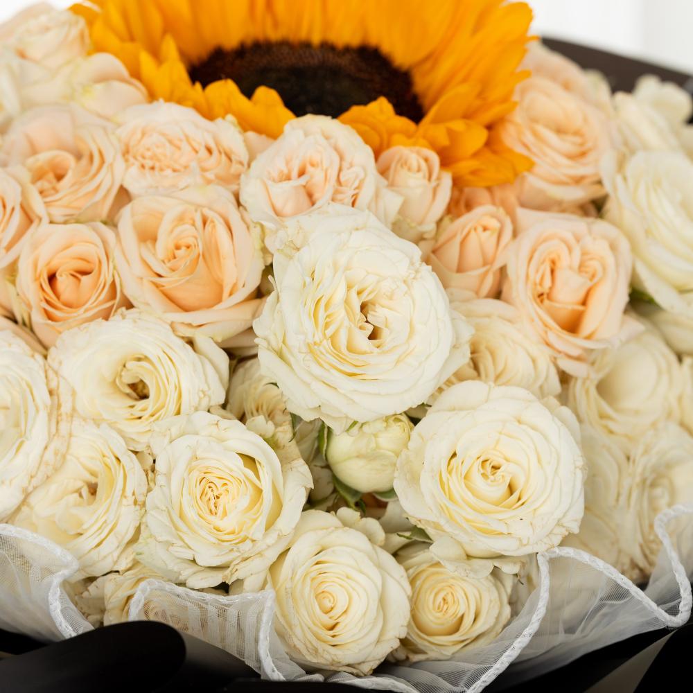 باقة وميض الغروب