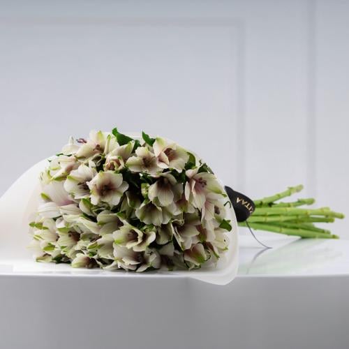 Rozitaa - Online Flower and Gift Shop - Fast Delivery Within Two Hours