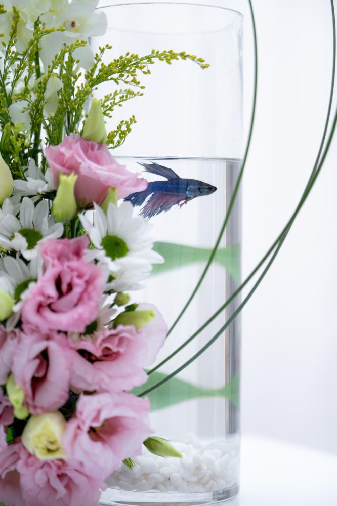 ورد اوركيد توليب بيبي روز جوري متجر ورد توصيل ورد روزيتا طبيعي flower
