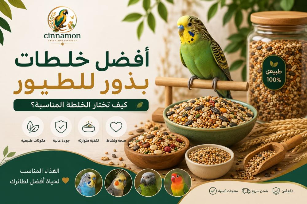 أفضل خلطات بذور للطيور: كيف تختار الخلطة المناسبة؟ | Cinamon House