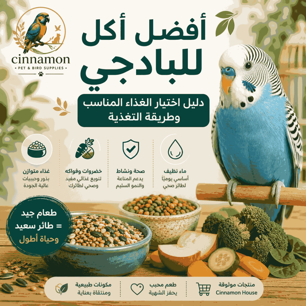أفضل أكل للبادجي: دليل اختيار الغذاء المناسب وطريقة التغذية