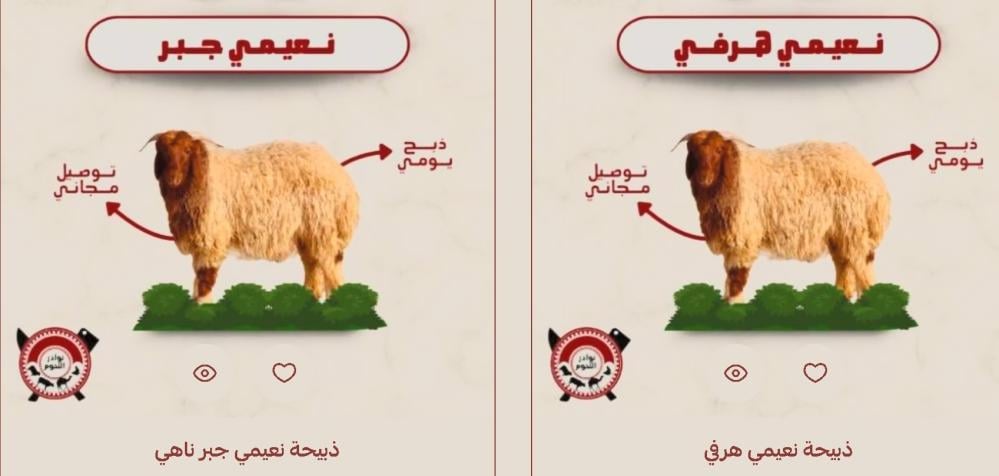 الخروف النعيمي