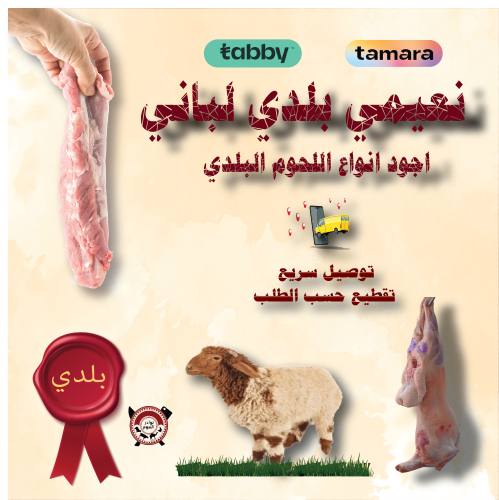ذبيحة نعيمي بلدي صغير لباني 10 ك